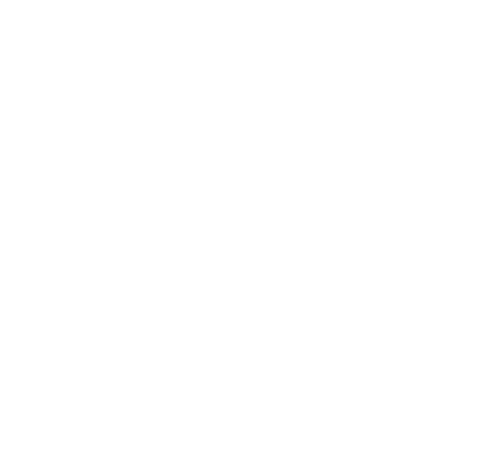 Goldis Socks Nano